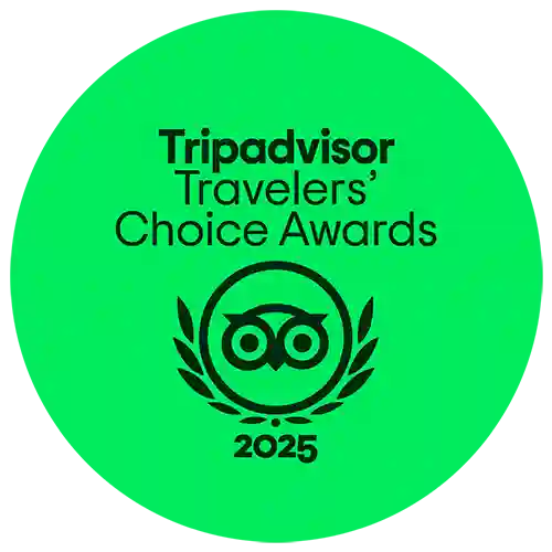 TripAdvisor