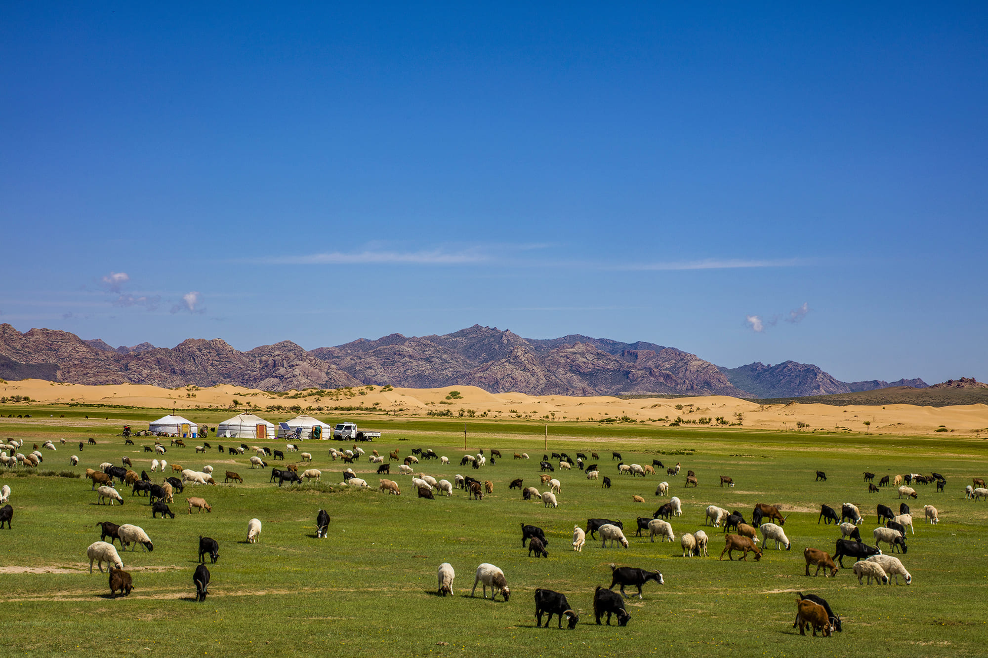 Mongolian landscape