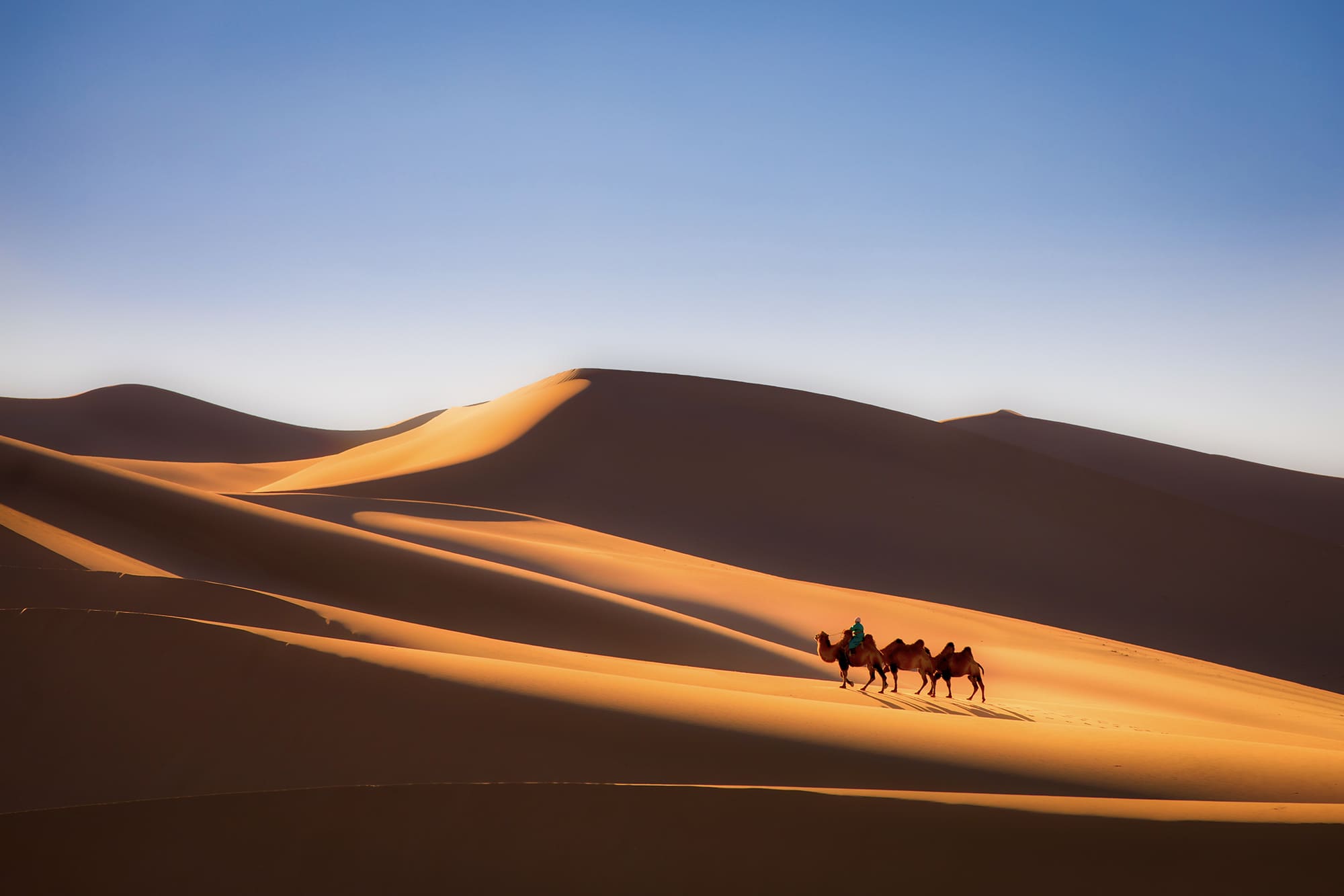 Gobi Region