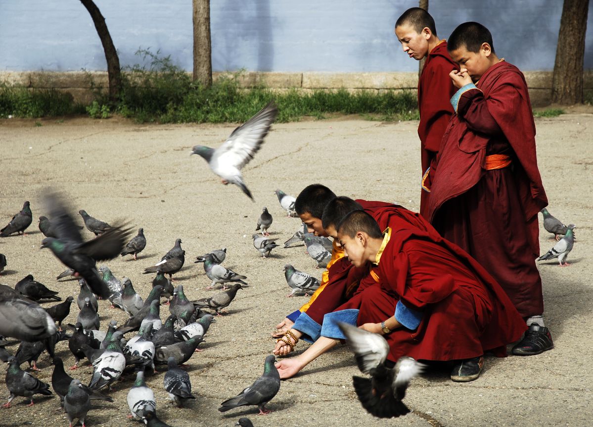 Gandan Monastery grounds