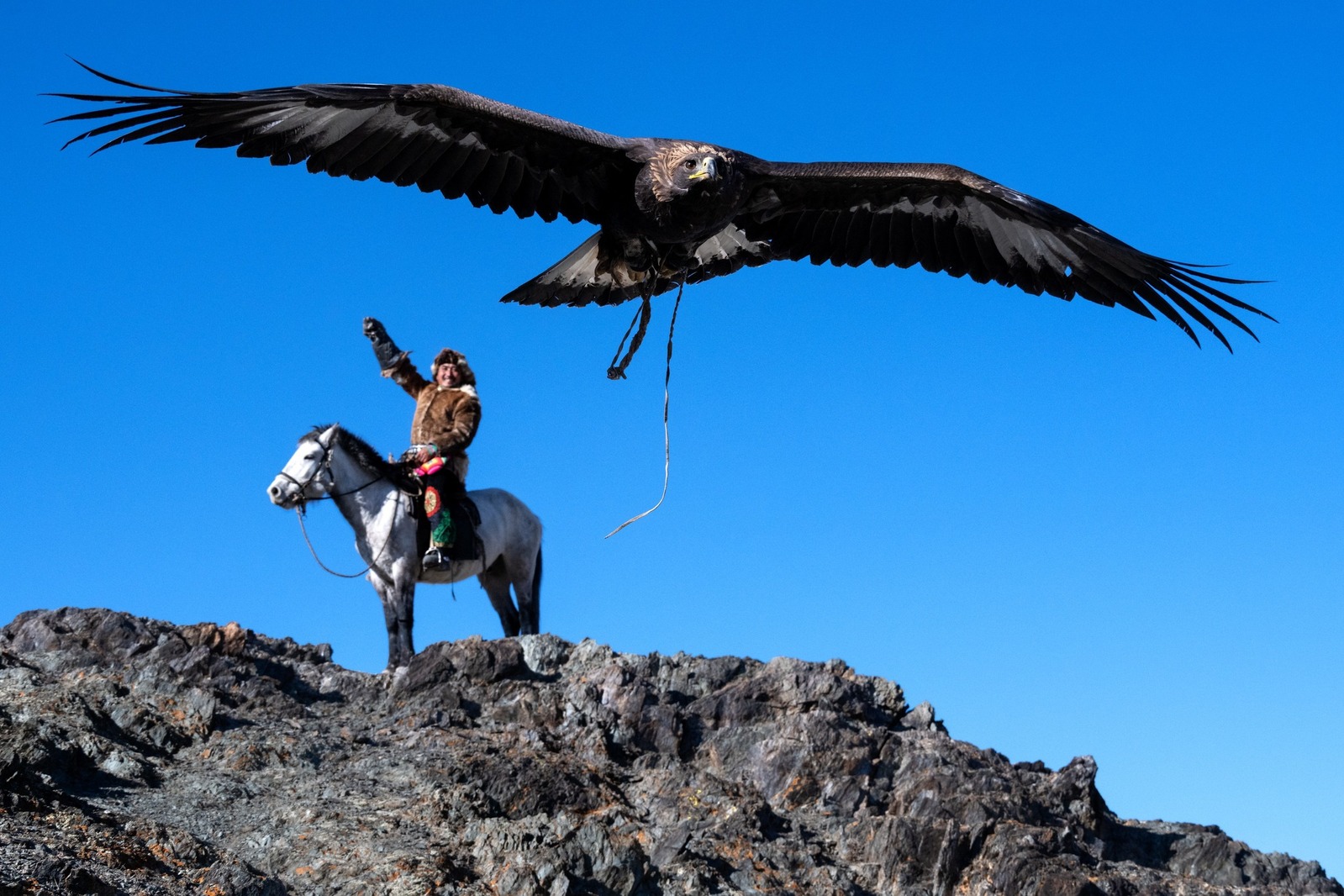 Golden Eagle Festival