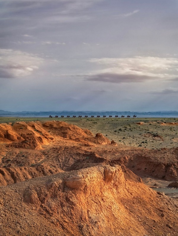 Bayanzag Flaming Cliffs