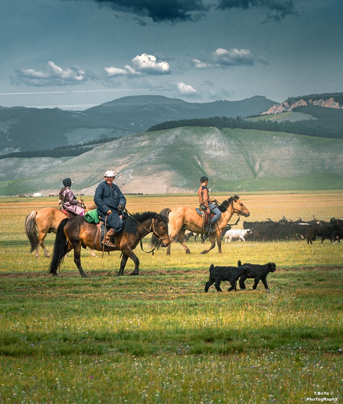 Ger camp eastern Mongolia