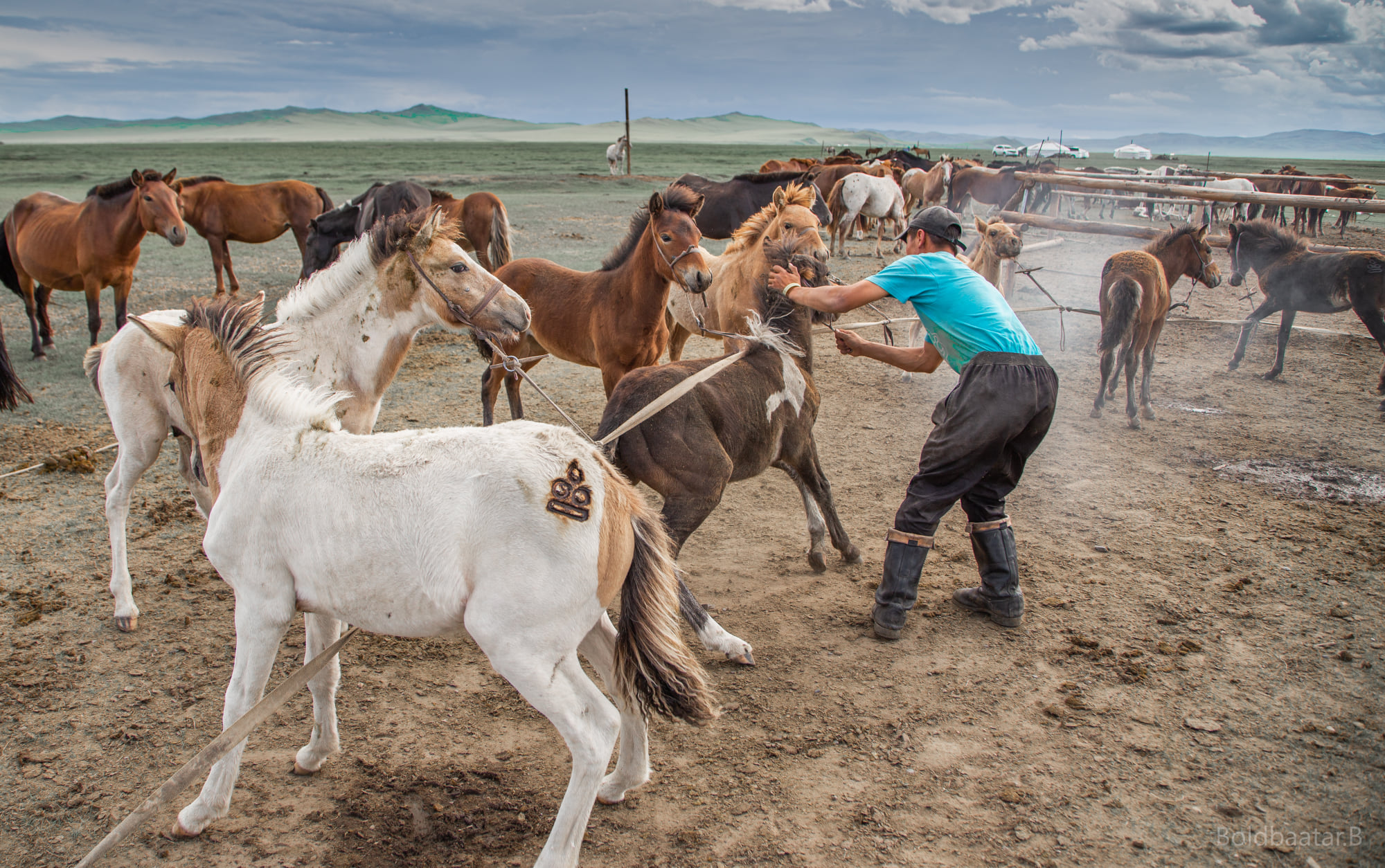 Authentic Mongolian Nomad Experience: 8-Day Special Tour