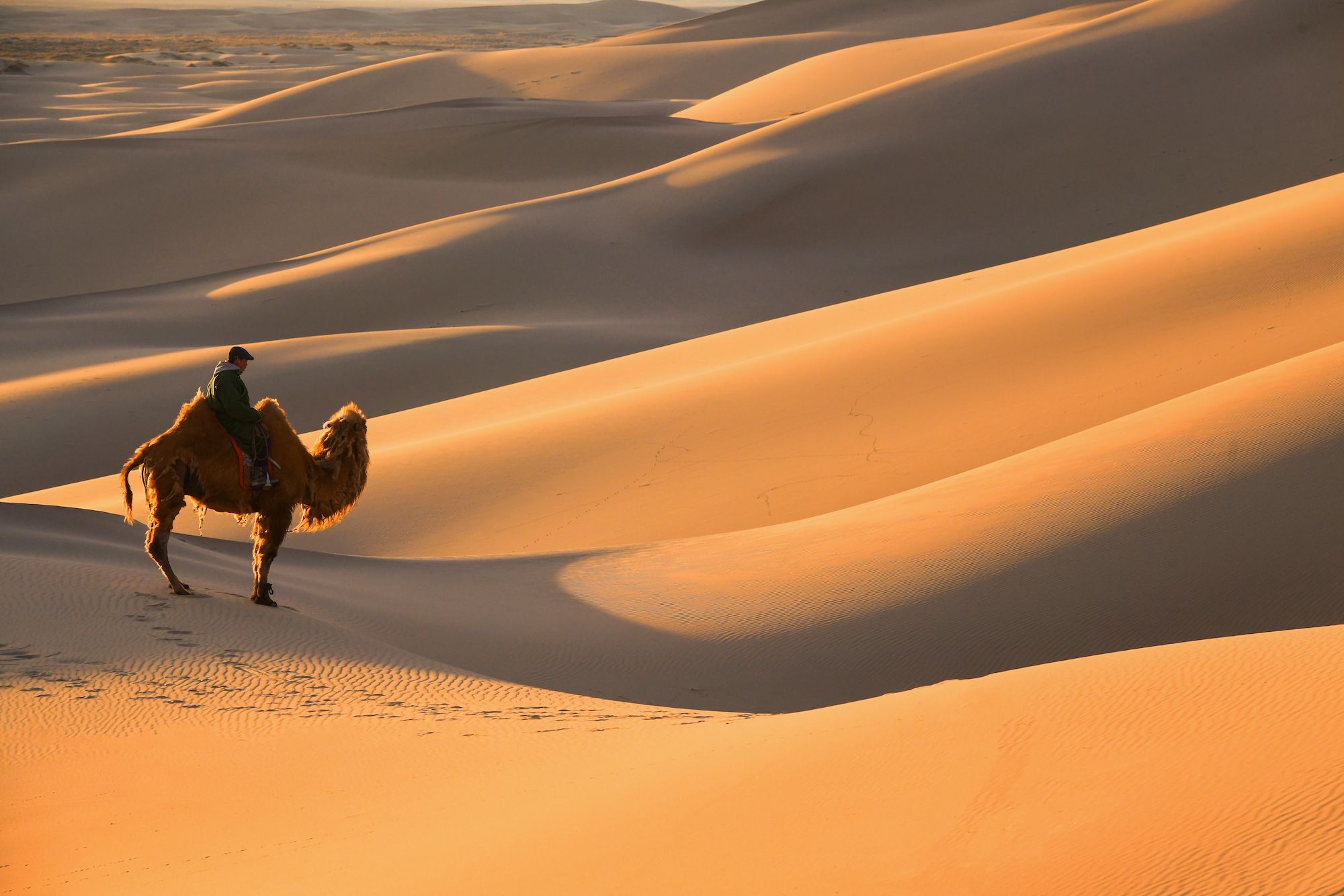 Day 4 - Khongor Sand Dunes