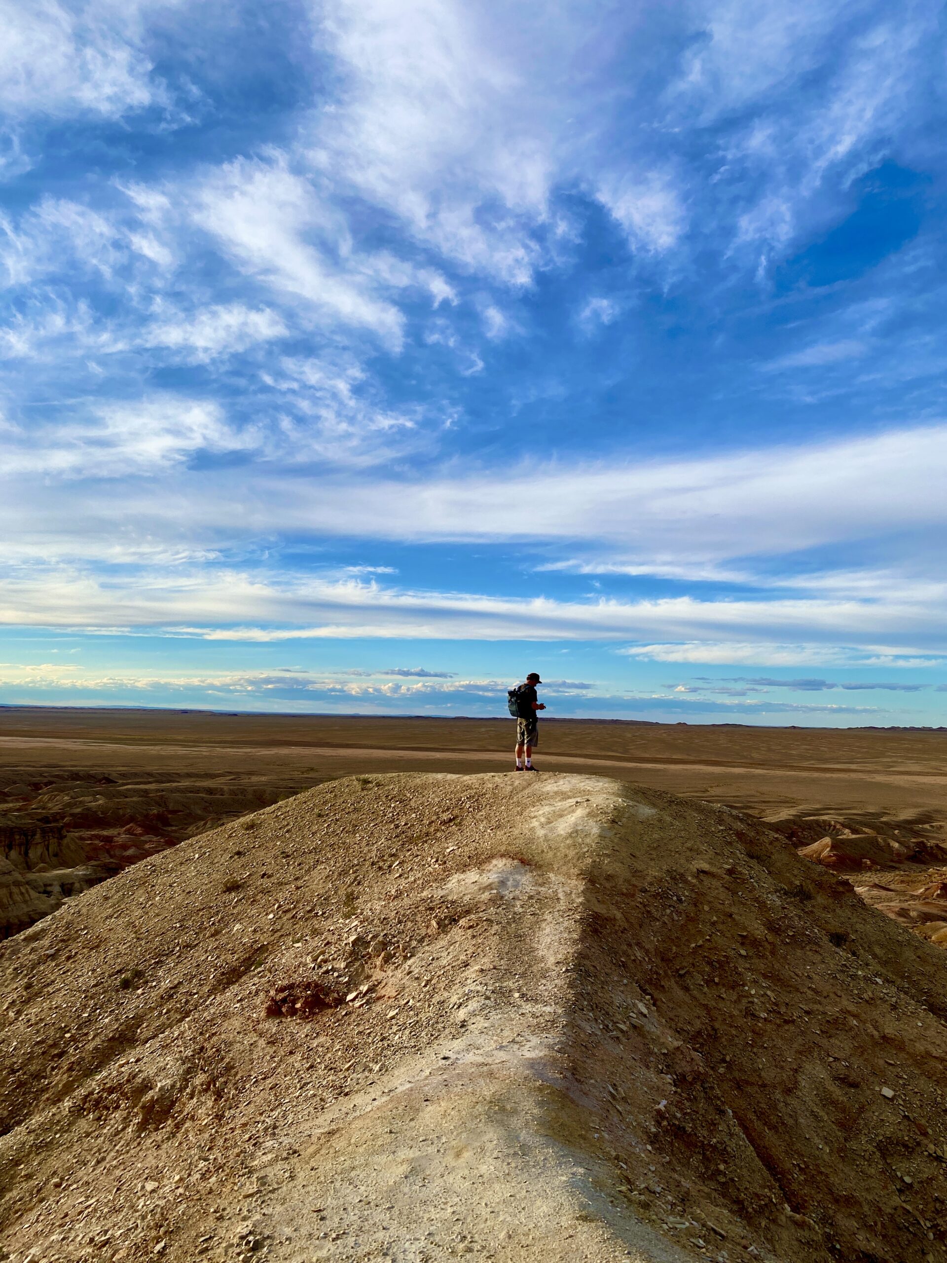 Tsagaan Suvraga (White Stupa)